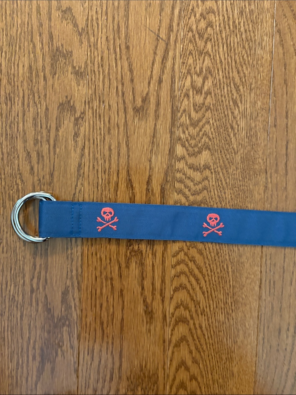 Vineyard Vines Medium Blue Webbing Belt with Red Skull & Crossbones